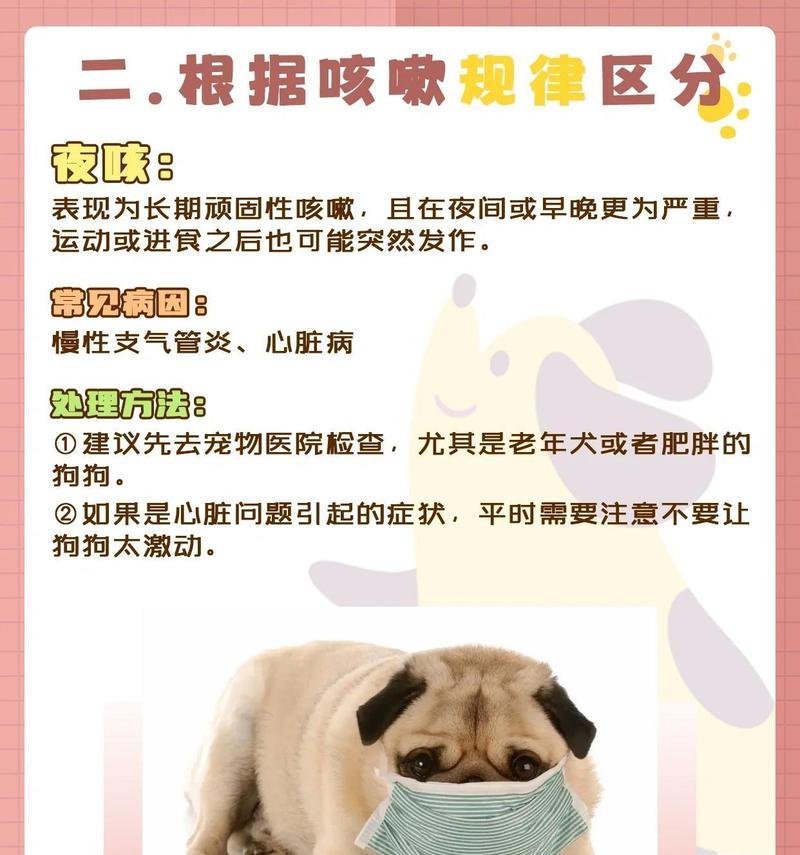 狗狗为什么只有在晚上咳？（探索狗狗晚上咳嗽的原因及解决方法）