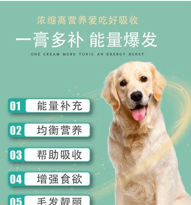 如何正确使用狗狗营养膏（合适的时间让你的狗狗享受最大益处）