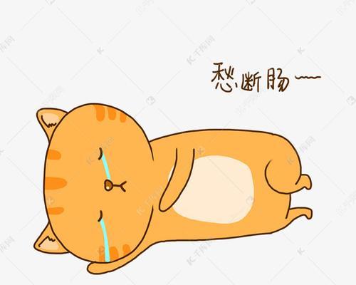 探寻发愁猫的品种之谜（解密发愁猫的起源及特征）