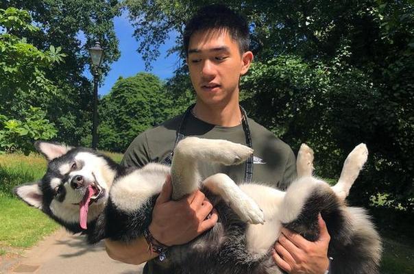 明星钟爱的狗狗种类（明星们钟爱的狗狗品种及其特点）