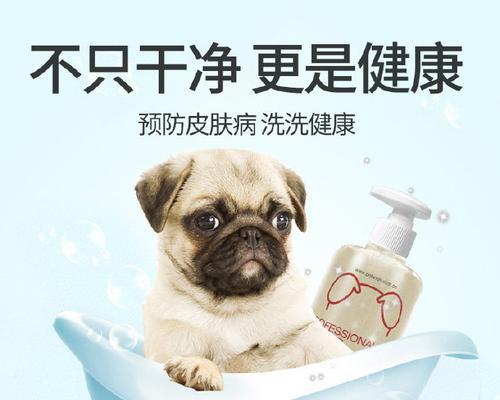 应急情况下给狗洗澡的正确方法（关键技巧和注意事项助您顺利完成）