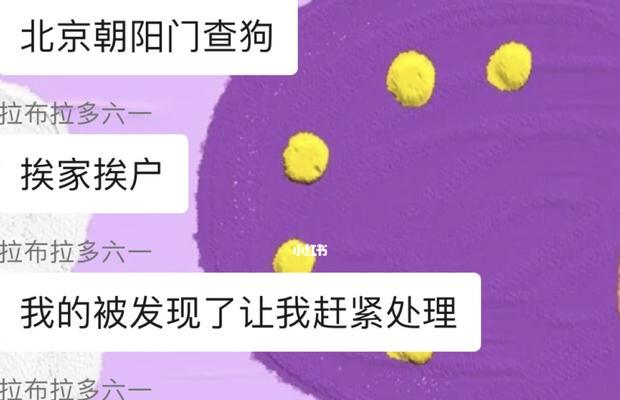 北京抓狗的原因及影响（保护居民安全与城市形象——北京控制狗数量的重要举措）
