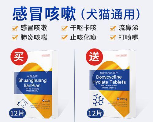 狗狗流鼻涕该如何治疗？（选择合适的药物帮助狗狗恢复健康）