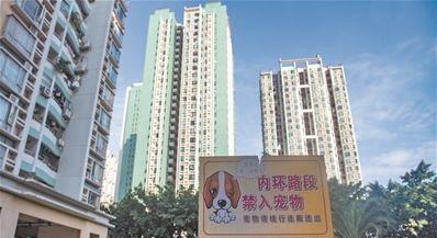 选择宠物，享受宁静和平（找寻最佳选择，以买什么宠物不吵为主题）