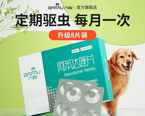 三个月泰迪吐吃什么药？（帮助你了解如何处理三个月泰迪的呕吐问题）