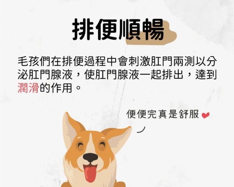 揭秘狗狗肛门腺的奥秘（了解狗狗肛门腺为何成为健康隐患）