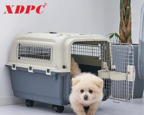 宠物友好的航空公司一览（带宠物出行不再烦恼，这些航空公司最贴心！）