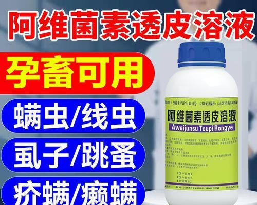 泰迪痒症解决方案（有效控制泰迪浑身痒，提供舒适生活）