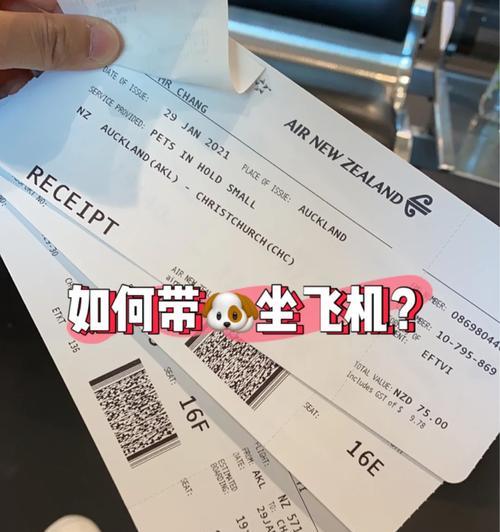 带狗狗坐飞机的手续及注意事项（为您的爱犬乘飞机提供顺利的旅行体验）