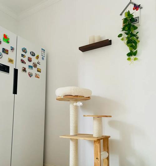 探讨猫爬架的颜色选择（如何选购适合猫咪的猫爬架）