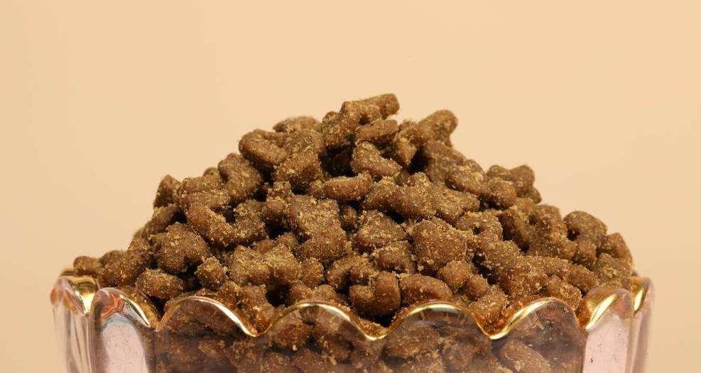 小猫禁食食物大揭秘！（小猫不能吃什么食物，要了解才能保护它们的健康。）
