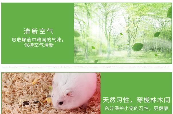 豚鼠垫木屑的用途探究（木屑垫料在豚鼠饲养中的重要性）