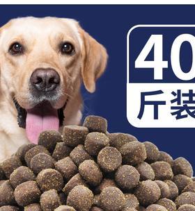 选择最适合拉布拉多的狗粮品牌（拉布拉多的饮食需求与最佳狗粮选择）