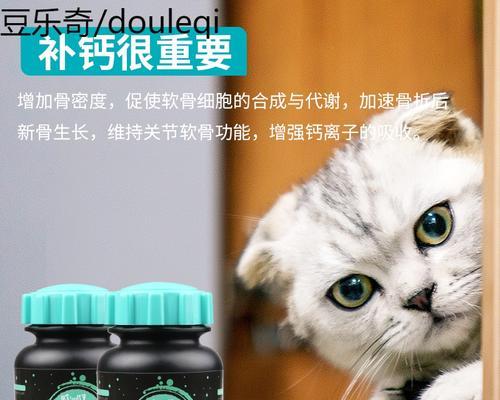 泰迪狗需要钙片吗？（探讨泰迪狗钙片的必要性及选择）