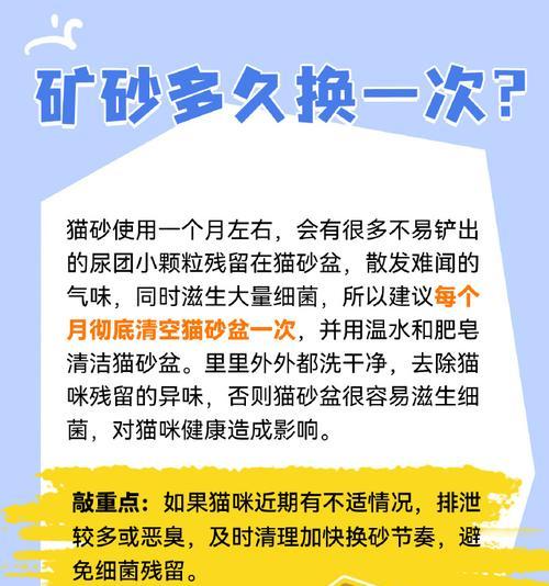猫沙的多重用途（解读猫沙的神奇功效，让你彻底了解它的价值）
