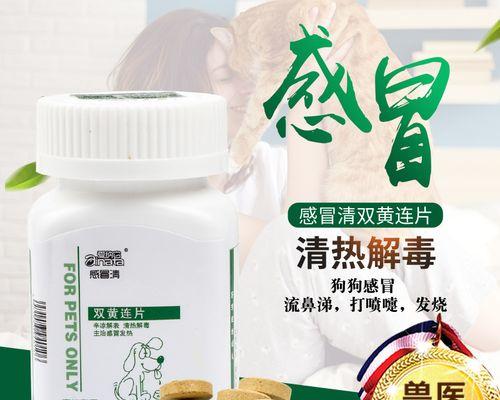 狗狗发热怎么办？药物治疗是关键（狗狗发热该如何选择适当的药物治疗？）