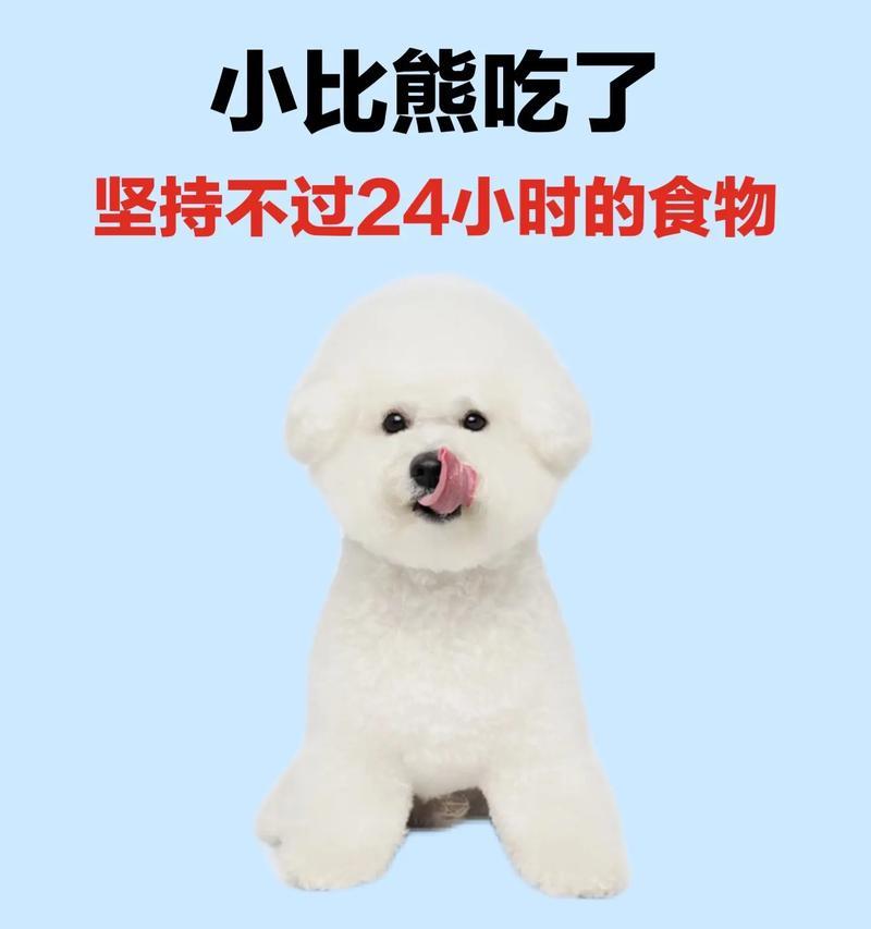 比熊小狗的饮食（以颜色为主题，探索比熊小狗饮食中的营养需要与健康益处）