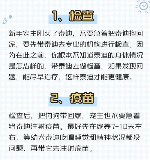 养泰迪需注意之关键要点（2个月内养泰迪的必知事项）