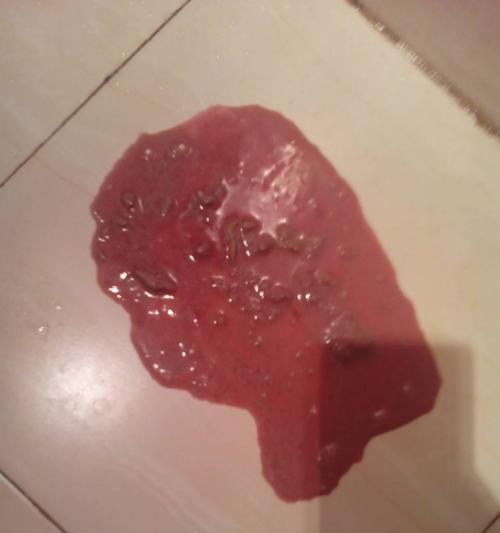 狗瘟症状及饮食指南（狗瘟症状分析与食谱推荐）