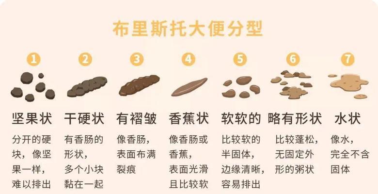 狗无法排便该怎么办？（狗拉不出屎的原因及治疗方法）