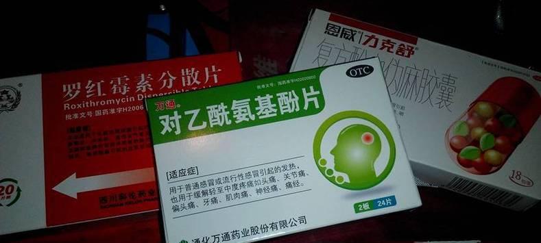 宠物狗发烧该如何用药治疗？（细致了解狗狗发烧症状及药物治疗方法）
