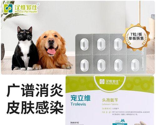 狗狗尿道感染的最佳药物治疗方案（寻找有效药物治疗狗狗尿道感染的关键）