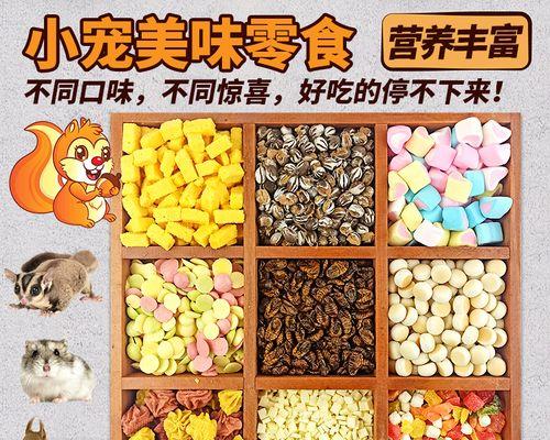 仓鼠最爱吃什么食物？（满足你的仓鼠味蕾，让它健康快乐生活！）