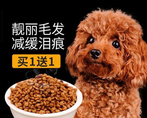 如何科学地喂养泰迪幼犬（探索适合泰迪幼犬的饮食习惯与营养需求）