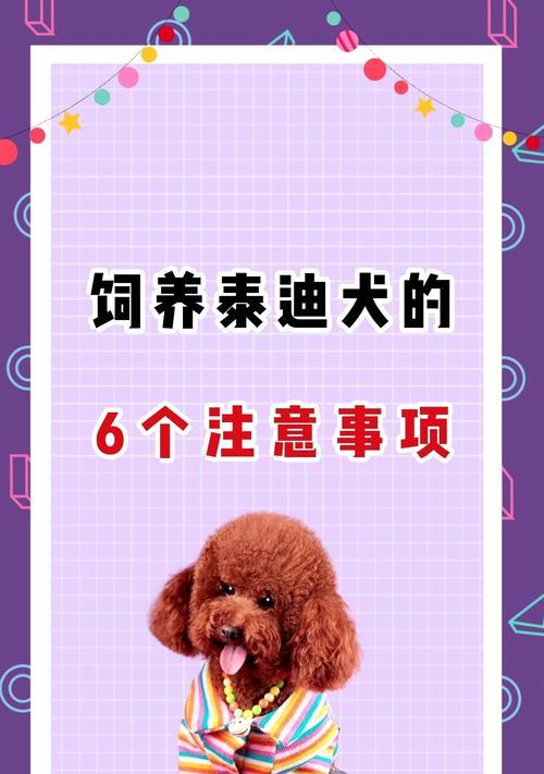 以母泰迪配完注意什么？（养殖者需知的关键注意事项）