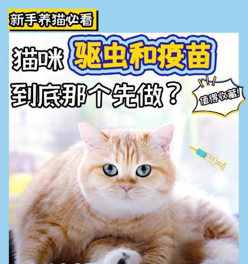 3个月大的萨摩打的育苗指南（健康宝宝的关键在于及时接种疫苗）