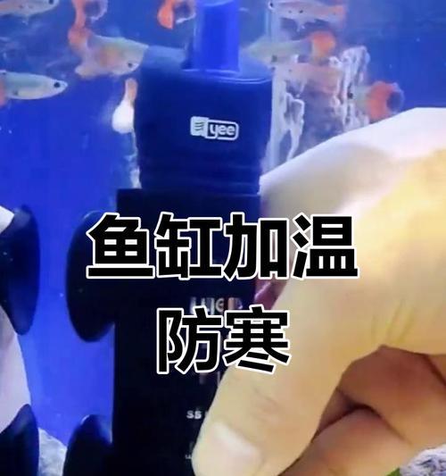 为什么鱼缸需要加热棒？（探究鱼缸加热棒的必要性与作用）