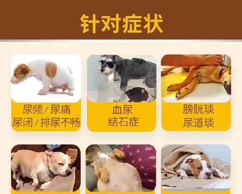 猫的利尿问题及饮食调整