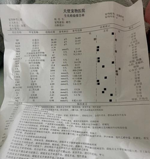 猫生化检查（全面检测猫咪身体机能，预防疾病的关键）