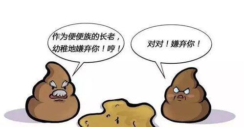 探究泰迪大便臭的原因（揭秘泰迪大便臭的真相及解决方法）