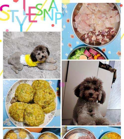 为什么狗的食欲不好？（破解狗食欲低迷的原因与解决方法）