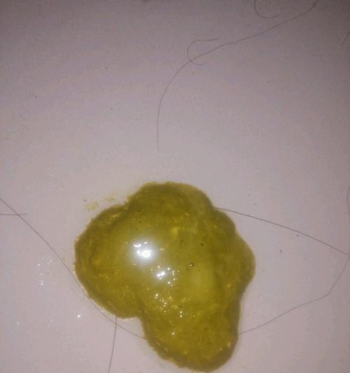 画眉鸟的大便是什么样子的？（探索画眉鸟排泄物的形态和特征）