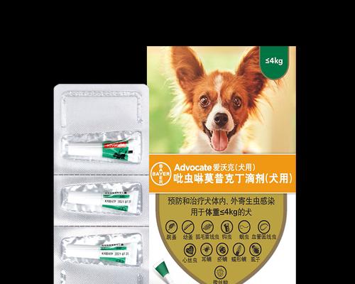 如何有效治疗狗狗绦虫（掌握正确药物，守护宠物健康）