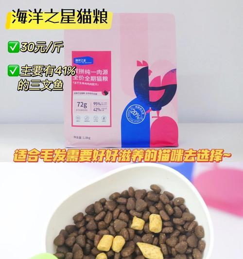 宠物猫掉牙齿后的饮食需求（为你的爱猫提供适当的饮食选择）