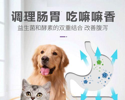 金毛呕吐，应该给它吃什么药？（探究适合两岁金毛呕吐的药物选择，保障它的健康）