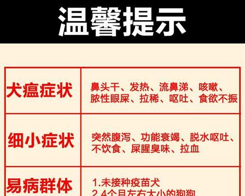 犬瘟狗狗的食物选择（了解犬瘟狗狗的饮食需求，让它们保持健康）
