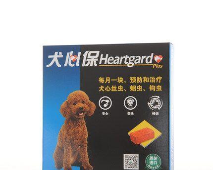 狗狗驱虫的最佳时间选择（掌握正确的驱虫时间，让狗狗远离寄生虫的侵害）