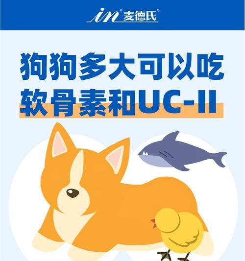 哺乳期的狗狗不能吃什么？（了解哪些食物对于哺乳期的狗狗是有害的）