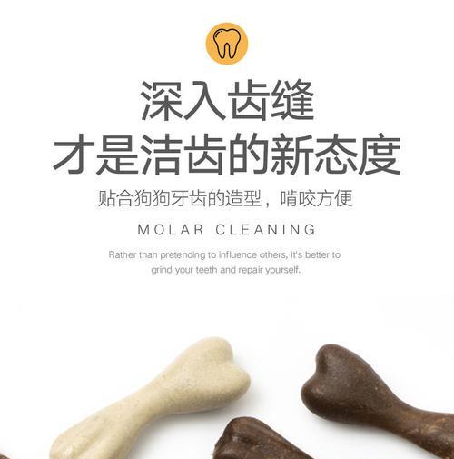 选择比熊磨牙棒的关键因素（如何为你的比熊选择最佳的磨牙棒）