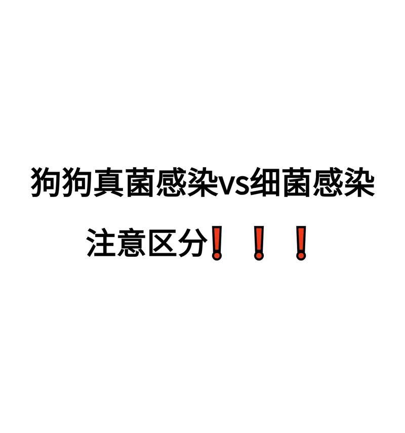 狗狗真菌感染（保护你的宠物免受真菌感染的关键措施）