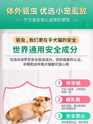 泰迪长虱子问题解析（探究泰迪长虱子的原因及解决方法）