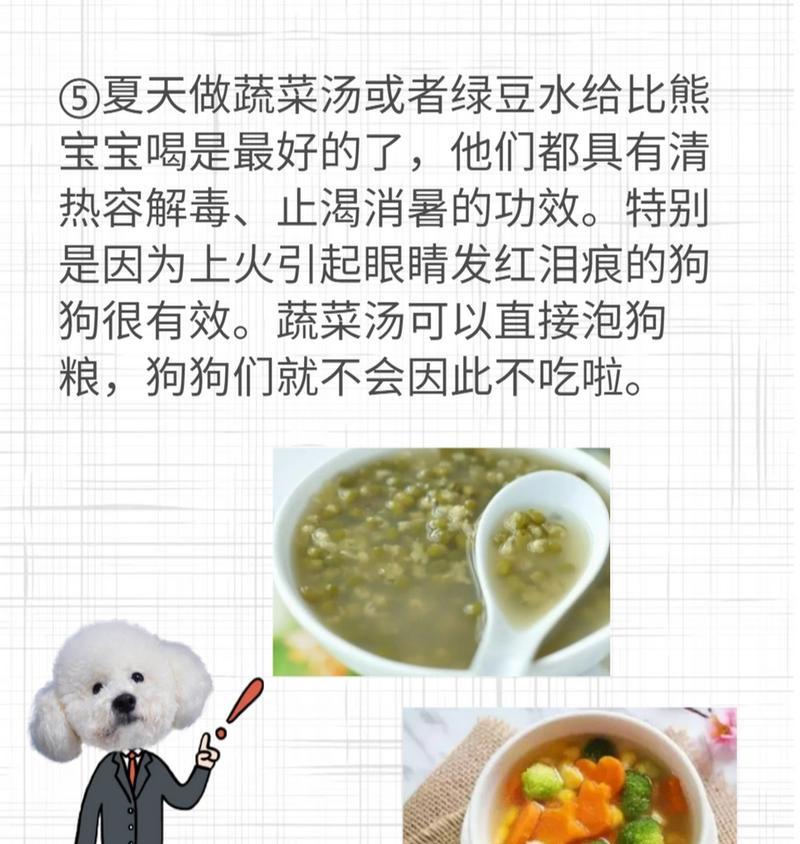 以比熊犬可以吃什么肉？（了解比熊犬饮食需求，提供健康食材选择）