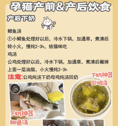 猫咪的接生宝典（如何确保猫咪安全顺利地分娩）