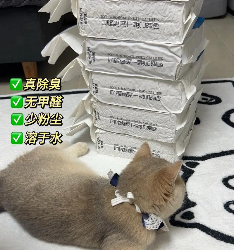 如何选择猫咪砂不沾脚的猫砂？（选对猫砂，给猫咪一个干爽舒适的生活）