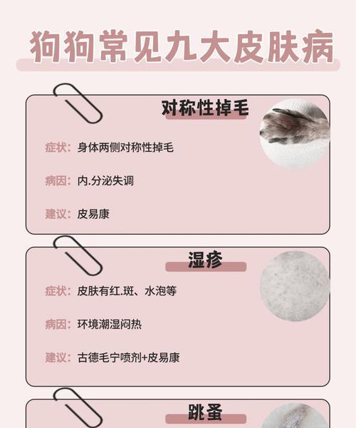 狗狗身上红点结痂，小心这可能是什么病？（了解狗狗身上红点结痂的原因和治疗方法，保护它们的健康）