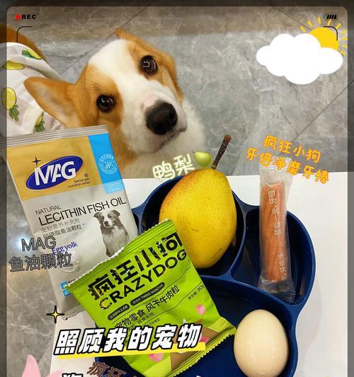 狗狗的胃不好，需要注意的水果（了解狗狗的胃病情况，避免给予不适合的水果）